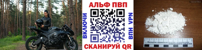 Альфа ПВП СК КРИС  Губаха 