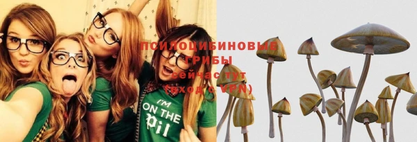 соль ск Бородино